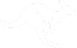 Kangaroo icon